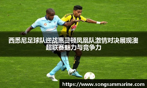 熊猫体育西悉尼足球队迎战惠灵顿凤凰队激情对决展现澳超联赛魅力与竞争力